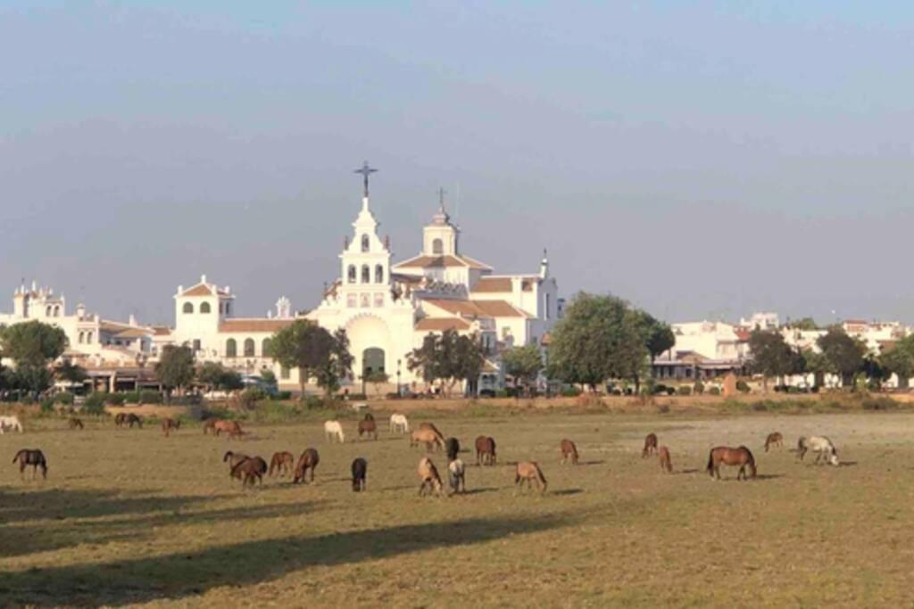 Casa Luz Del Rocio Refugio Con Alma A 8 Minutos De La Ermita Appartement Buitenkant foto